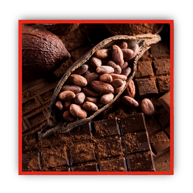 Fruit du cacao coupé en deux et rempli de fèves de cacao grillées. Le tout est saupoudré de chocolat en poudre.